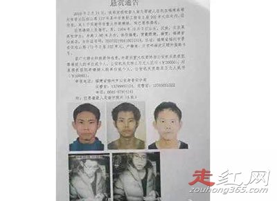 ����ɱĸ����ԭ���������� ����������Ƕ�����л��