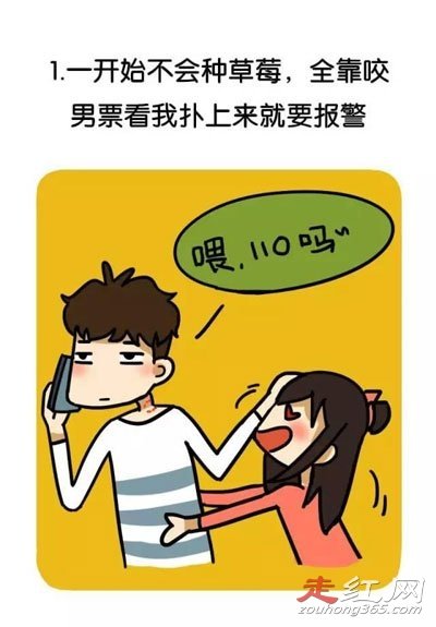 ��ǰ�ֲ�ݮ��ʲô���ӵ� ����ϲ������ǰ�ֲ�ݮ��Σ��