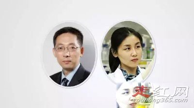 �������Ϲ���ʩһ���� �������۾��ǲ�����ʲô����