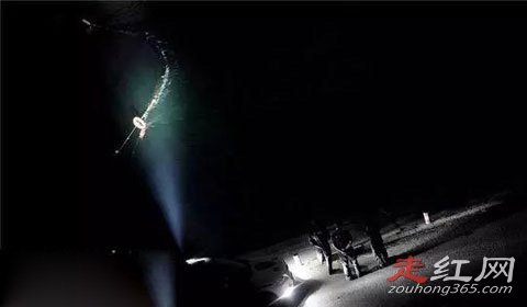 ֣�ݿս�������������� ��ĳ�����������Ƭ