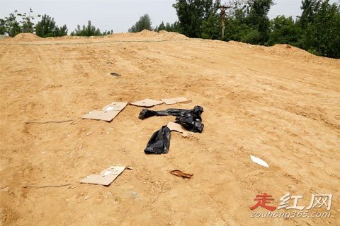 ֣�ݿս�������������� ��ĳ�����������Ƭ