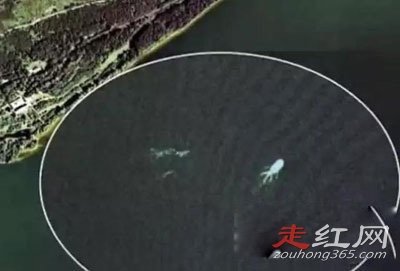 ˫�������¼�5����ʵͼ��ô���� ��ʱ���������ܶ�