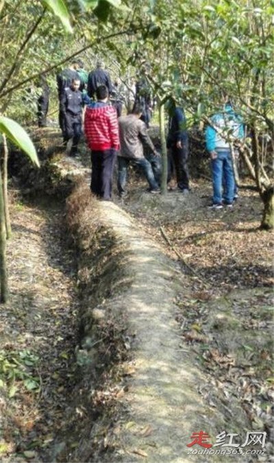 �㽭Ů����ʫ�������ж�� Ϊʲô�и����¼�