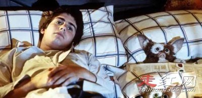 δ��18��ֹ��(�ٶ�����) 18����Ӱ�ᵼ��С���ӷ���