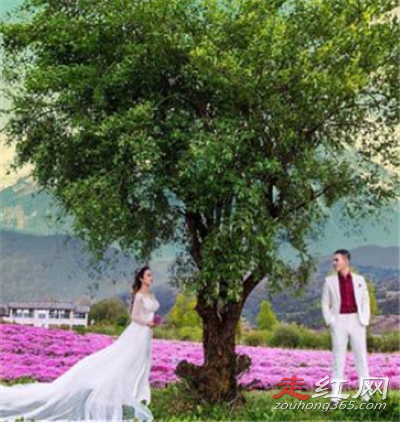 王文静和老公高迪怎么认识的 王文静家庭背景爸爸是干什么的