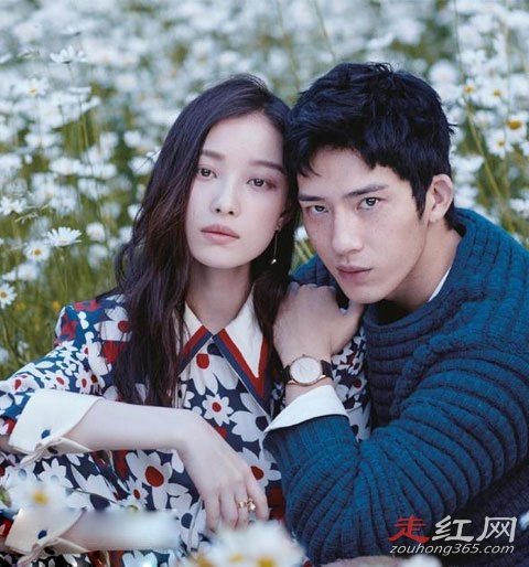 倪妮张艺谋酒店三天三夜是真的吗 和井柏然为什么分手
