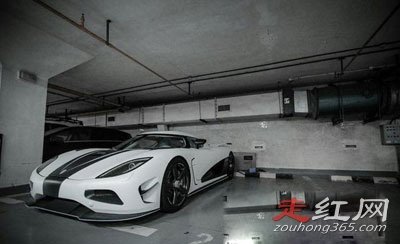 �Ϻ��ط����Ϊʲô�л��ϻ� �����ֶ��ǳ����ĸ�����