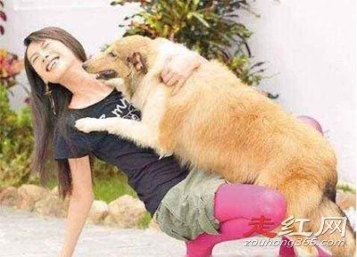 ������è�۽�����ʲô˵�� Ϊʲô˵��è�������Ǳ�̬