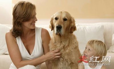 ������è�۽�����ʲô˵�� Ϊʲô˵��è�������Ǳ�̬