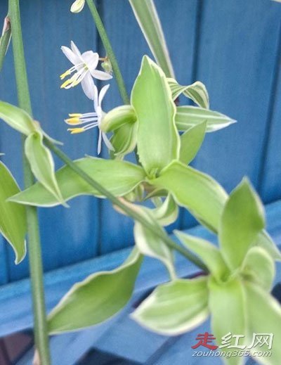 �����˿�����̨����Ĭ��ȫ ׼���ĳ�ֺ���Ҫ