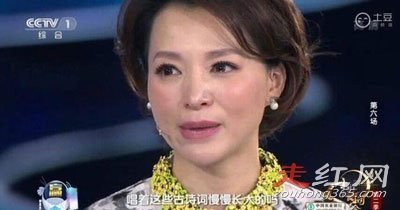 赵忠祥和董卿是什么关系 不雅照就是假的