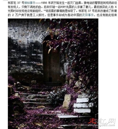 �ּ�լ37���¼�������� �������ʵ�����еĹ���