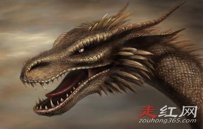 为什么国家要隐瞒龙 一度的被认为是假的东西