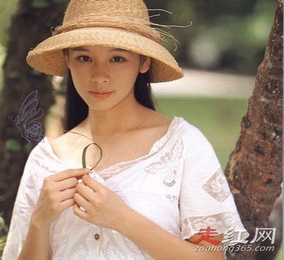 徐若瑄被禁的天使三部曲怎么回事 早期时候的影片