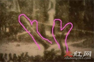 Ӫ��׹���¼�����֮�� ��Ϊ�������������Ĵ���
