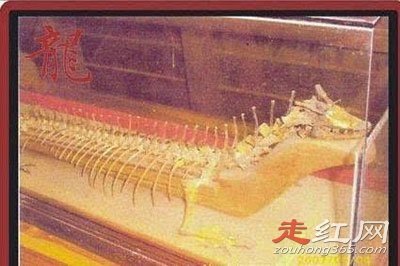 Ӫ��׹���¼�����֮�� ��Ϊ�������������Ĵ���