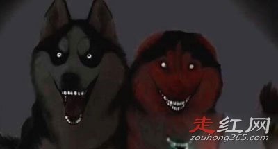 ΢Ц���ֲ��¼����˶����� ������һֻ����ô����