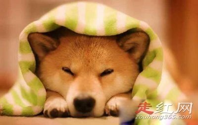 ΢Ц���ֲ��¼����˶����� ������һֻ����ô����