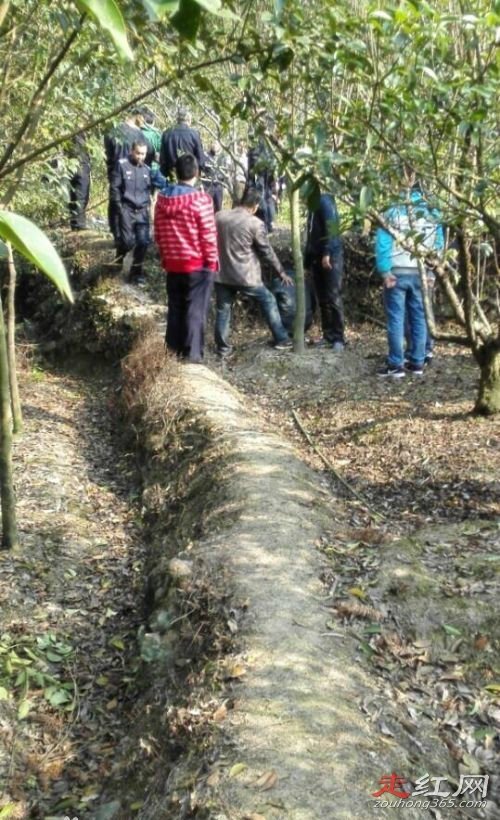 ��ʫ�ܱ�������ʱ������Ƭ ��������ô�о���