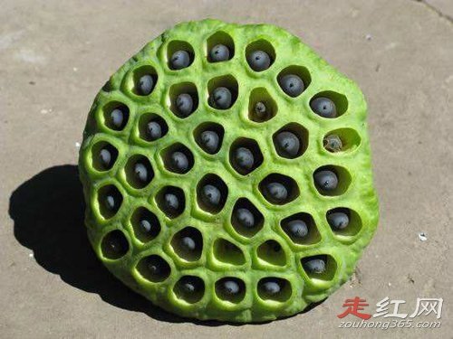 ��������ʲôԭ����ɵ� �ܼ��־�֢ͼƬ�ö���