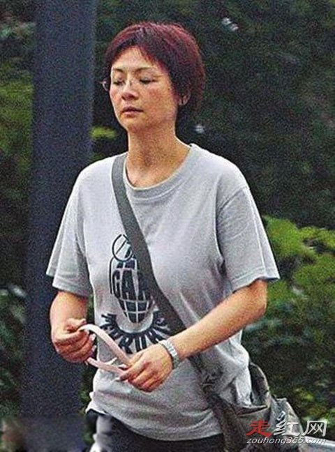 Ҷ���ĵ���������� �������ǿ����ߺ��