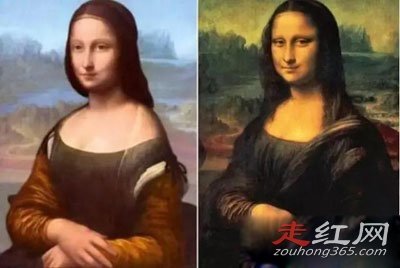 ������ɯʮ��ֲ�֮������ �������źܶ��յ�