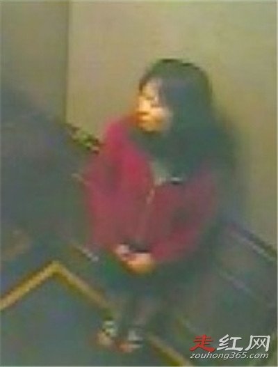 ���ɶ����ư�������ô���� ����ֲ��ںܶ�ĵط�