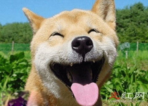 ΢Ц���Ŀֲ�ԭͼ�¼������ ����Ҳ�пֲ��Ĺ���