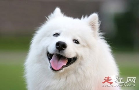 ΢Ц���Ŀֲ�ԭͼ�¼������ ����Ҳ�пֲ��Ĺ���