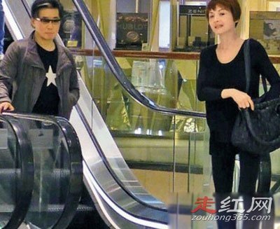 Ҷ���ĺ��ɷ���������ô��ʶ�� �ز������ݵ���