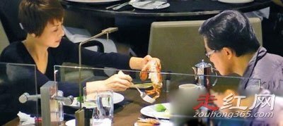 Ҷ���ĺ��ɷ���������ô��ʶ�� �ز������ݵ���