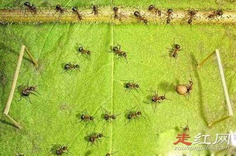 ��ά�ռ��������ǹ���ô���� ����ȥ�󵽵ĵط�