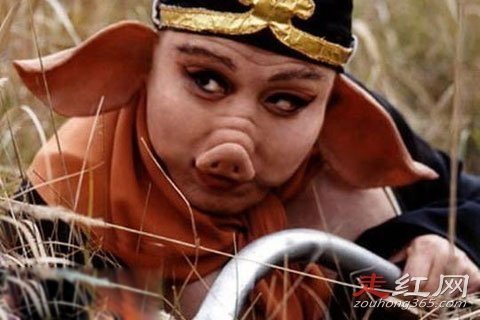 1999�걻���·��������¼�������� �����˶��������˼���