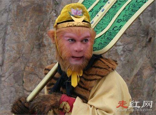 ����������ֲܿ�ͼƬ���� ��ר�����ڳ�������յ�Ĺ