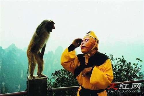 ����������ֲܿ�ͼƬ���� ��ר�����ڳ�������յ�Ĺ