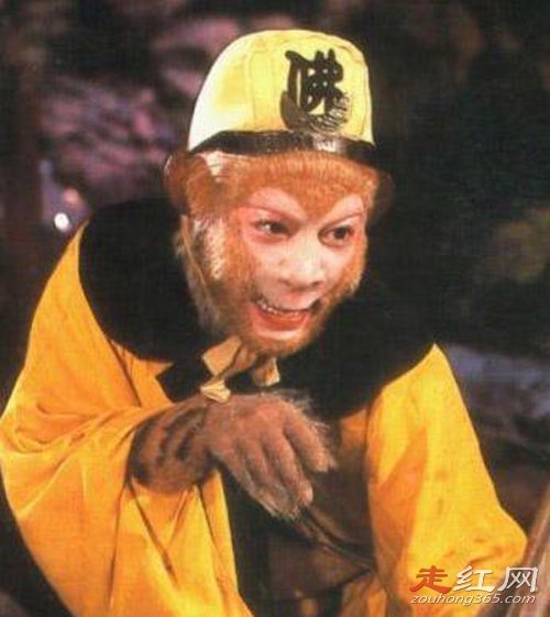 ����������ֲܿ�ͼƬ���� ��ר�����ڳ�������յ�Ĺ