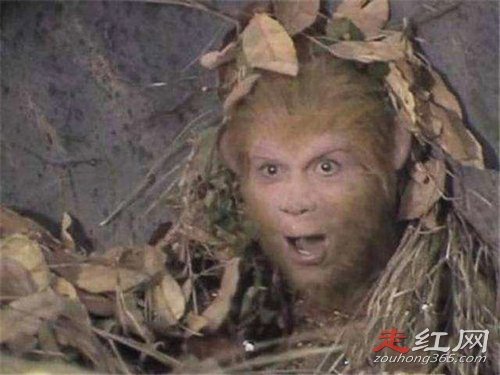 ����������ֲܿ�ͼƬ���� ��ר�����ڳ�������յ�Ĺ