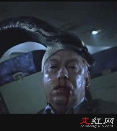 1983����������ô���� ������Ƶ�������