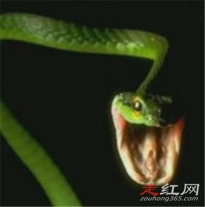 1983����������ô���� ������Ƶ�������