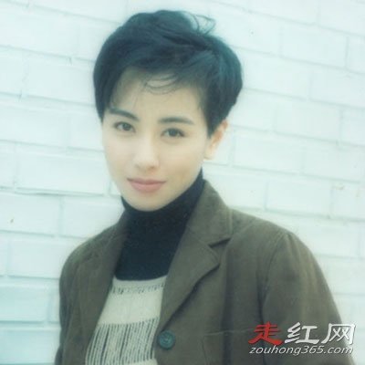 Ԭ��Ө���˼������� ������ֵ�۷���Ƭ