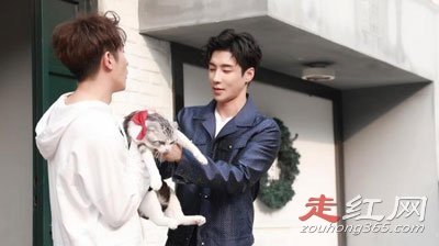 ��������ݶԱ��� �촽�Ƿ�������