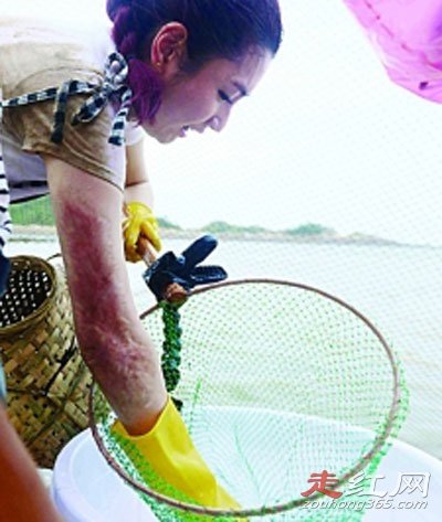 �μ���Ϊʲô��Ļ� ʲôʱ���������ڻָ�����Ƭ