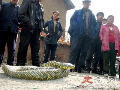 ��ƽ�����¼�������� ��һ���Ѿ�������