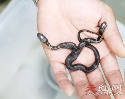 ��ƽ�����¼�������� ��һ���Ѿ�������