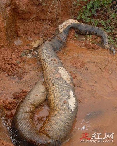 ��ƽ�����¼�������� ��һ���Ѿ�������