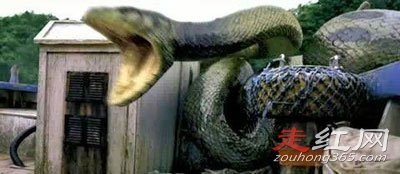 ��ƽ�����¼�������� ��һ���Ѿ�������