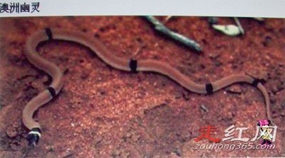 ��ƽ�����¼�������� ��һ���Ѿ�������