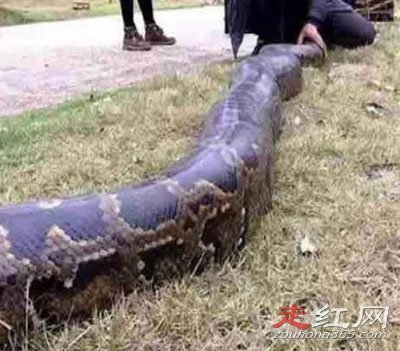 ��ƽ�����¼�������� ��һ���Ѿ�������