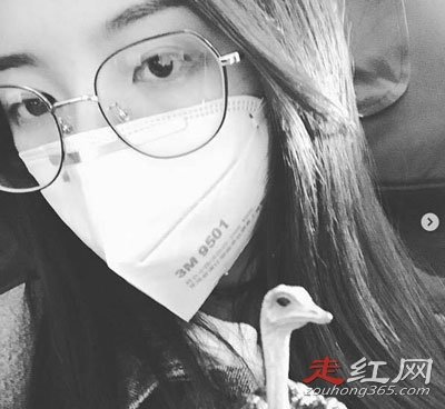 �Խ�廨��ʲô�� �����ϵĺ��Ϻܶ�