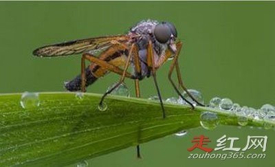 ����Ϊʲô��������� ĿǰΪֹ��û�а취